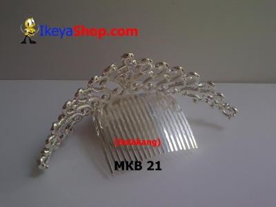 large2 MKB 21 b